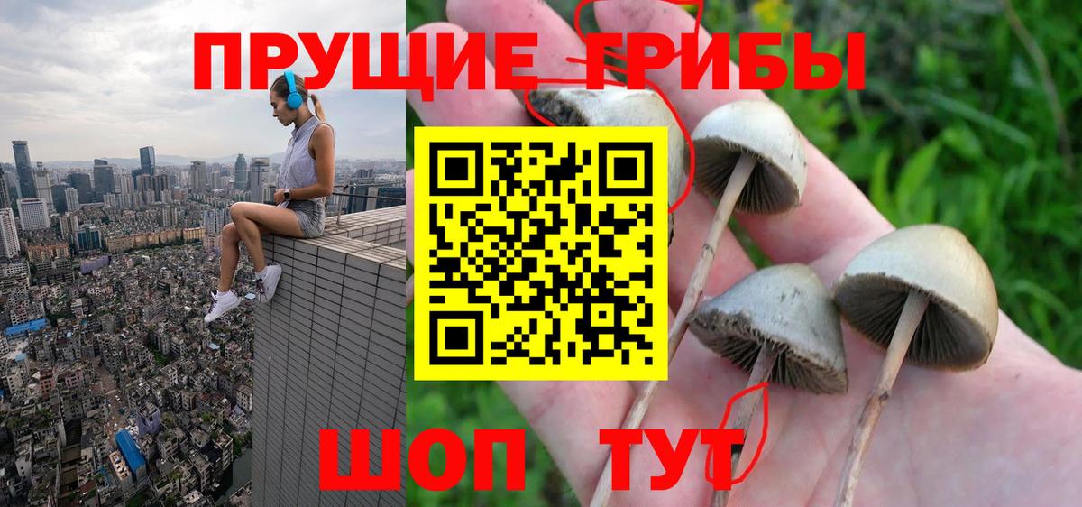 Галлюциногенные грибы мухоморы Магнитогорск