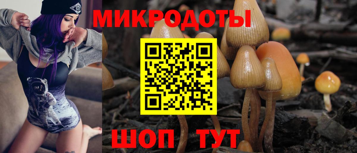 Галлюциногенные грибы MAGIC MUSHROOMS  Псилоцибиновые грибы MAGIC MUSHROOMS  Вход с VPN  Магнитогорск 